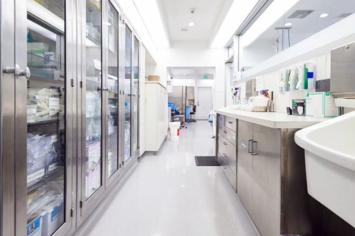 Laboratorio