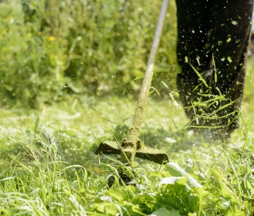 Jardinero cortando el pasto con una desbrozadora